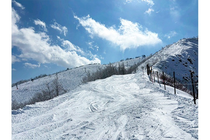 6d191c4fc2a4a83583dbed07f62296de-1771226733.jpg 6d191c4fc2a4a83583dbed07f62296de-1771226733.jpg