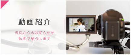 動画紹介