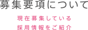 募集要項について　現在募集している採用情報をご紹介