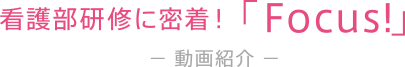 動画紹介