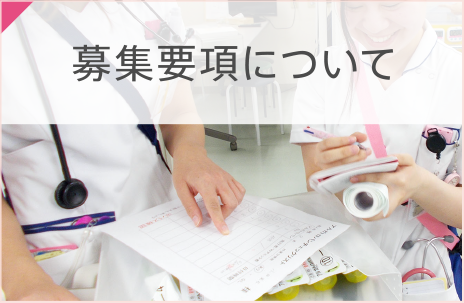 募集要項