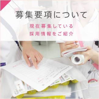 募集要項について：現在募集している採用情報をご紹介