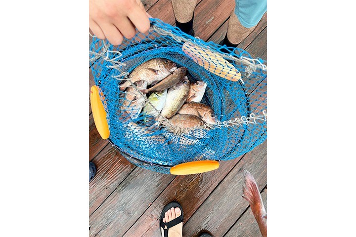 淡路島で釣り