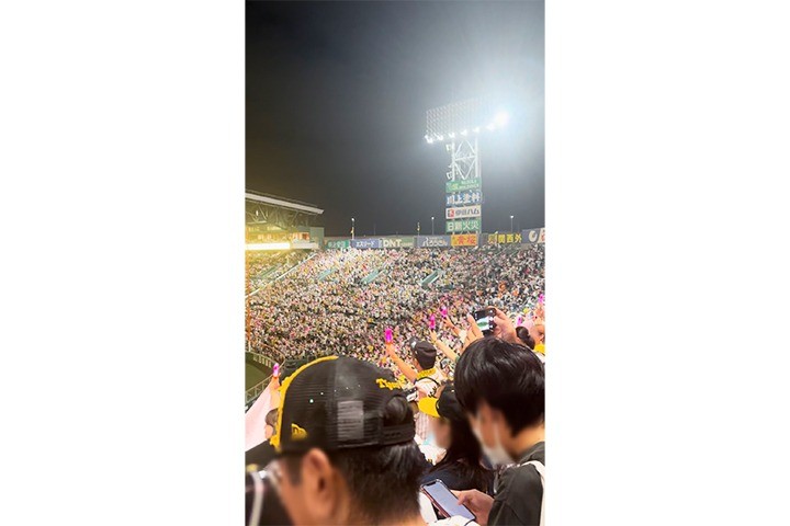 甲子園観戦