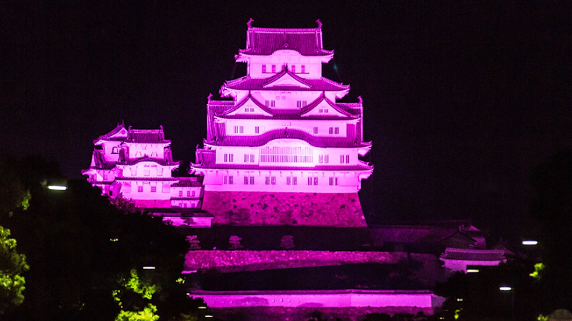 第447話　化学療法支援を患者さんと共に