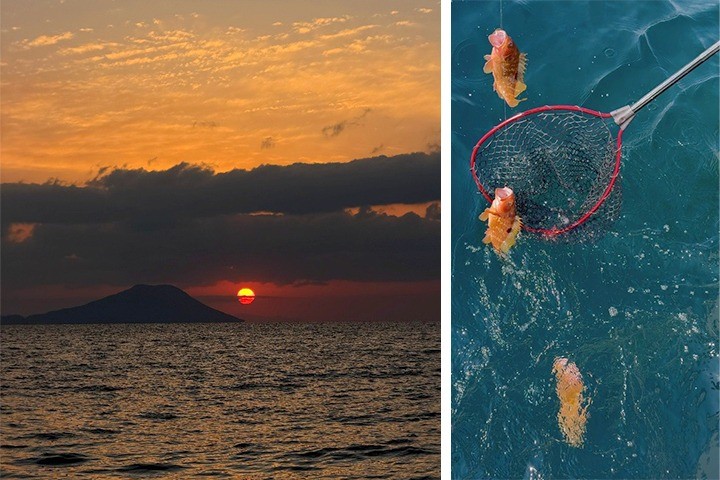 第543話　ブログリレー～看護師2年目の休日の過ごし方～